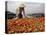 Cai Rang Floating Market on the Mekong Delta, Can Tho, Vietnam, Indochina, Southeast Asia-Andrew Mcconnell-Premier Image Canvas