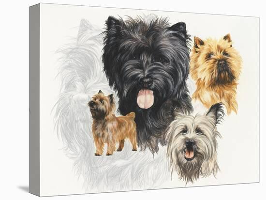 Cairn Terrier-Barbara Keith-Premier Image Canvas