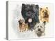 Cairn Terrier-Barbara Keith-Premier Image Canvas