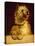 Cairn Terrier-George Earl-Premier Image Canvas