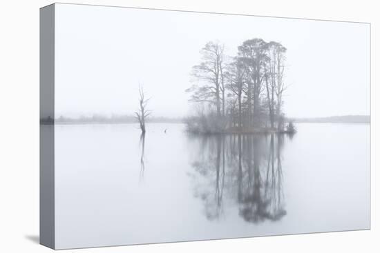 Cairngorm Stillness-Doug Chinnery-Premier Image Canvas