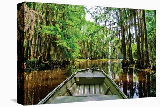 Cajun Country II-null-Stretched Canvas