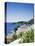 Cala Fornella, Majorca, Balearic Islands, Spain, Mediterranean-L Bond-Premier Image Canvas