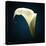 Cala Lily 1-Mark Ashkenazi-Premier Image Canvas