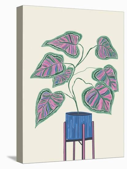 Calathea Scene-Joni Whyte-Stretched Canvas