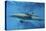 Calf Dolphin-Augusto Leandro Stanzani-Premier Image Canvas