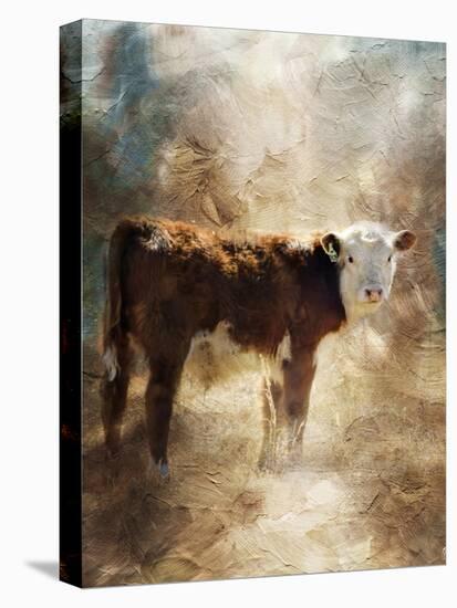 Calf in the Sunday Sun-Jai Johnson-Premier Image Canvas