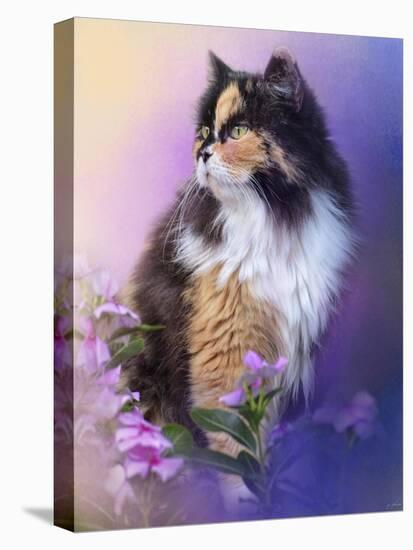 Calico Kitty in the Garden-Jai Johnson-Premier Image Canvas