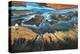 California Aerial - the Desert from Above-Tanja Ghirardini-Premier Image Canvas