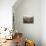 California, Anza Borrego Desert Sp, Hedgehog and Barrel Cactus-Christopher Talbot Frank-Premier Image Canvas displayed on a wall