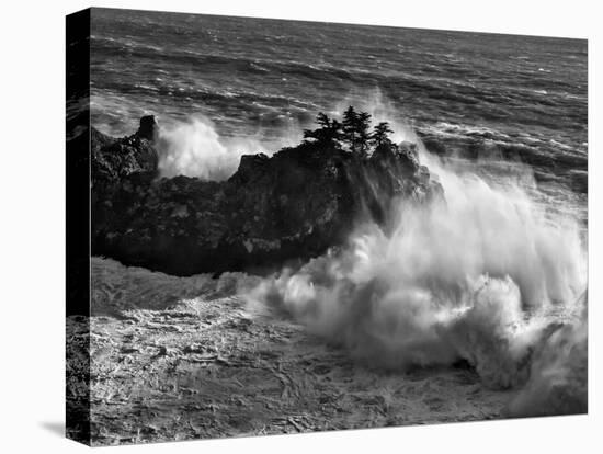 California, Big Sur, Big Wave Crashes Against Rocks and Trees at Julia Pfeiffer Burns State Park-Ann Collins-Premier Image Canvas