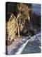 California, Big Sur Coast, Julia Pfeiffer Burns Sp, Mcway Falls-Christopher Talbot Frank-Premier Image Canvas