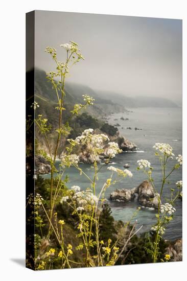 California, Big Sur, View of Pacific Ocean Coastline with Cow Parsley-Alison Jones-Premier Image Canvas