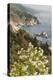 California, Big Sur, View of Pacific Ocean Coastline with Cow Parsley-Alison Jones-Premier Image Canvas