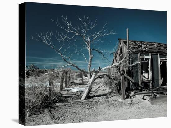 California, Cima, Mojave National Preserve, Abandoned Mojave Desert Ranch, Winter, USA-Walter Bibikow-Premier Image Canvas