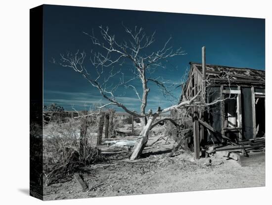 California, Cima, Mojave National Preserve, Abandoned Mojave Desert Ranch, Winter, USA-Walter Bibikow-Premier Image Canvas