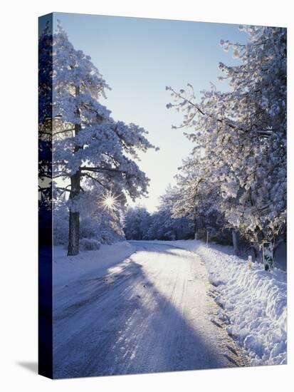 California, Cleveland Nf, Laguna Mts, Winter Morning Along a Highway-Christopher Talbot Frank-Premier Image Canvas
