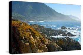 California Coast-Howard Ruby-Premier Image Canvas