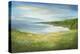 California Coastline-Sheila Finch-Stretched Canvas