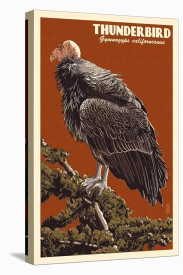 California Condor-Lantern Press-Stretched Canvas