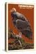 California Condor-Lantern Press-Stretched Canvas