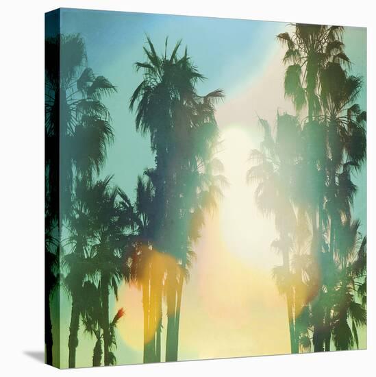 California Cool - Palm-Chuck Brody-Stretched Canvas