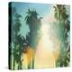 California Cool - Palm-Chuck Brody-Stretched Canvas