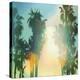 California Cool - Palm-Chuck Brody-Stretched Canvas