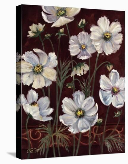 California Cosmos-Shari White-Stretched Canvas