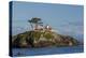 California, Crescent City, Battery Point Lighthouse-Jamie & Judy Wild-Premier Image Canvas