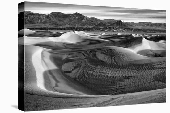California, Death Valley National Park, Black-And-White Image of Mesquite Flat Dunes after Rain-Ann Collins-Premier Image Canvas