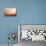 California Dreaming - Serene Sunset-Philippe HUGONNARD-Premier Image Canvas displayed on a wall