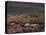 California, Dumont Dunes, a Rainbow Above Dunes and Wildflowers-Christopher Talbot Frank-Premier Image Canvas