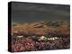 California, Dumont Dunes, a Rainbow Above Dunes and Wildflowers-Christopher Talbot Frank-Premier Image Canvas