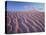 California, Dumont Dunes in the Mojave Desert at Sunset-Christopher Talbot Frank-Premier Image Canvas