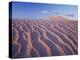 California, Dumont Dunes in the Mojave Desert at Sunset-Christopher Talbot Frank-Premier Image Canvas