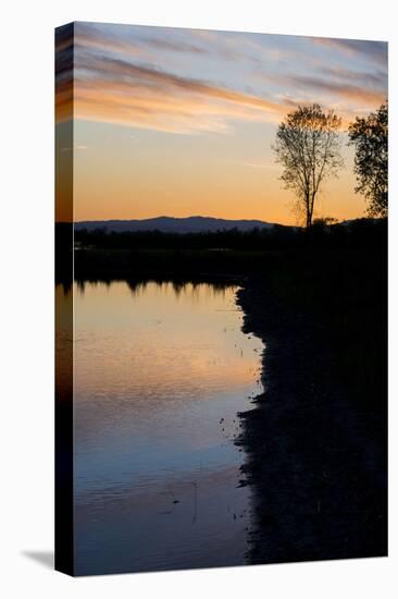 California, Gray Lodge Waterfowl Management Area, at Butte Sink-Alison Jones-Premier Image Canvas