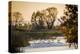 California, Gray Lodge Waterfowl Management Area, at Butte Sink-Alison Jones-Premier Image Canvas