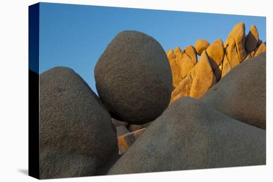 California. Joshua Tree National Park. Jumbo Rocks at Sunset-Judith Zimmerman-Premier Image Canvas