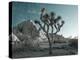 California, Joshua Tree National Park, USA-Alan Copson-Premier Image Canvas