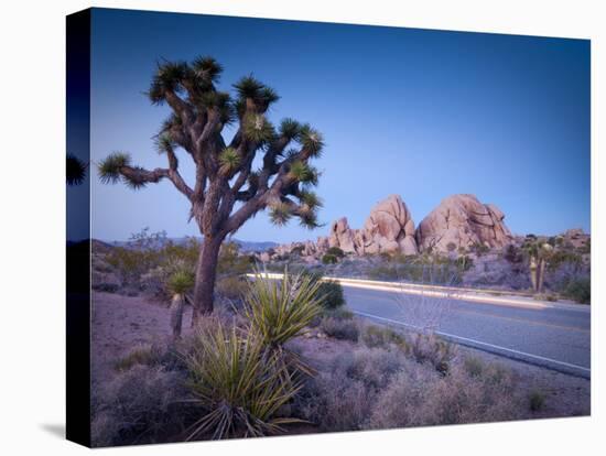 California, Joshua Tree National Park, USA-Alan Copson-Premier Image Canvas