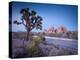 California, Joshua Tree National Park, USA-Alan Copson-Premier Image Canvas