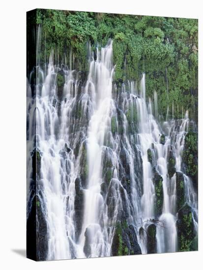 California, Mcarthur Burney Falls Memorial State Park, Burney Falls-Christopher Talbot Frank-Premier Image Canvas