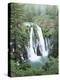 California, Mcarthur Burney Falls Memorial State Park, Burney Falls-Christopher Talbot Frank-Premier Image Canvas