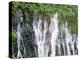 California, Mcarthur–Burney Falls Memorial State Park, Burney Falls-Christopher Talbot Frank-Premier Image Canvas