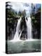 California, Mcarthur–Burney Falls Memorial State Park, Burney Falls-Christopher Talbot Frank-Premier Image Canvas