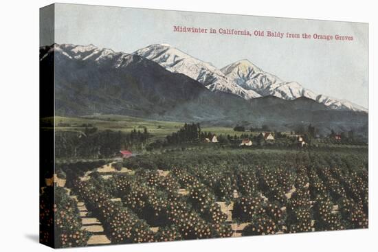 California - Orange Groves with Old Baldy Mt in Distance-Lantern Press-Stretched Canvas