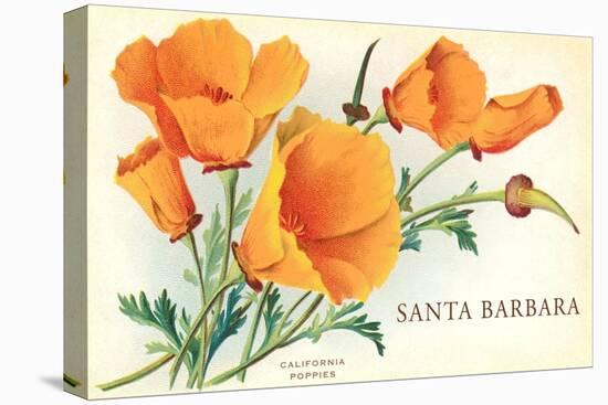 California Poppy, Santa Barbara, California-null-Stretched Canvas