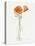 California Poppy Vase II-Grace Popp-Stretched Canvas