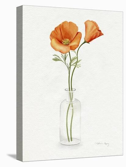 California Poppy Vase II-Grace Popp-Stretched Canvas